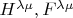 $H^{\lambda \mu}, F^{\lambda \mu}$