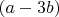 $(a-3b)$