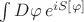 $\int D\varphi\, e^{i S[\varphi]}$