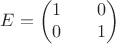 $$
E = 
\begin{pmatrix}
1 && 0 \\
0 && 1
\end{pmatrix}
$$