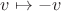 $v\mapsto -v$