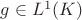 $g\in L^1(K)$ $g\in L^1(K)$
