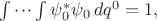 $\idotsint\psi_0^*\psi_0\,dq^0=1,$