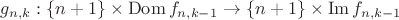 $g_{n,k}:\{n+1\}\times\operatorname{Dom} f_{n,k-1}\to\{n+1\}\times\operatorname{Im} f_{n,k-1}$