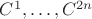 $C^1,\ldots,C^{2n}$