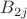 $B_{2j}$