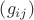 $\left(g_{i j}\right)$ $\left(g_{i j}\right)$