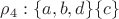 $\rho_4: \{a,b,d\} \{c\}$