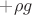 $+\rho g$