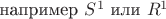 например $S^1$ или $R^1$