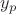 $y_{p}$