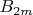 $B_{2m}$