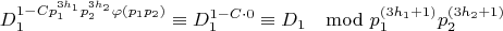 $$D_1^{1-Cp_1^{3h_1}p_2^{3h_2}\varphi (p_1p_2)}\equiv D_1^{1-C\cdot 0}\equiv D_1\mod p_1^{(3h_1+1)}p_2^{(3h_2+1)}$$