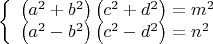 $$ \left\{ \begin{array}{l}
 \left( {a^2  + b^2 } \right)\left( {c^2  + d^2 } \right) = m^2  \\ 
 \left( {a^2  - b^2 } \right)\left( {c^2  - d^2 } \right) = n^2  \\ 
 \end{array} \right.$