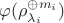 $\varphi(\rho_{\lambda_i}^{\oplus m_i})$