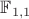 $\mathbb{F}_{1,1}$