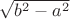 $\sqrt{b^2-a^2}$