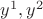 $y^1, y^2$