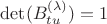 $\det (B_{tu}^{(\lambda)})=1$