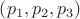 $\[\left( {{p_1},{p_2},{p_3}} \right)\]$