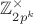 $\mathbb{Z}_{2p^k}^{\times}$