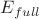 ${E}_{full}$