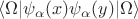 $$\langle \Omega|\psi_\alpha(x)\psi_\alpha(y)|\Omega\rangle$$