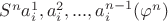 $\[{S^n}a_i^1,a_i^2,...,a_i^{n - 1}({\varphi ^n})\]$