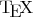$\TeX{}$