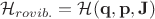 $$
\mathcal{H}_{rovib.} = \mathcal{H}(\mathbf{q}, \mathbf{p}, \mathbf{J})
$$