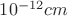 $10^{-12}cm $