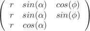 $$ \left( \begin{array}{ccc}
r & sin(\alpha) & cos(\phi) \\
r & sin(\alpha) & sin(\phi) \\
r & cos(\alpha)
\end{array} \right) $$