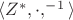 $\langle Z^{*}, \cdot, ^{-1}\rangle$