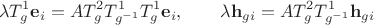 $$
\lambda T^1_g \mathbf e_i = A T^2_g T^1_{g^{-1}} T^1_g \mathbf e_i, \qquad \lambda \mathbf h_{gi} = A T^2_g T^1_{g^{-1}} \mathbf h_{gi}
$$