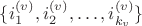 $\{i_1^{(v)}, i_2^{(v)}, \ldots, i_{k_v}^{(v)}\}$