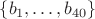 $\{ b_1, \ldots, b_{40} \}$