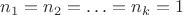 $n_1=n_2=\ldots=n_k=1$
