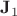 $\bold J_1$