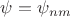 $\psi=\psi_n_m$