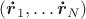 $(\boldsymbol {\dot r}_1,\ldots \boldsymbol{\dot r}_N)$