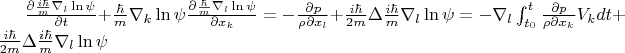 $\frac{\partial \frac{i \hbar}{m}\nabla_l \ln\psi}{\partial t}+\frac{ \hbar}{m}\nabla_k \ln\psi \frac{\partial \frac{ \hbar}{m}\nabla_l \ln\psi
}{\partial x_k}=- \frac{\partial p}{\rho \partial x_l}+\frac{i \hbar}{2m} \Delta \frac{i \hbar}{m}\nabla_l \ln\psi=-\nabla_l \int_{t_0}^t \frac{\partial p}{\rho \partial x_k}V_k dt+\frac{i \hbar}{2m} \Delta \frac{i \hbar}{m}\nabla_l \ln\psi$