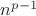 $n^{p-1}$