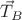 $\vec{T}_B$ $\vec{T}_B$