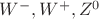 $W^-,W^+,Z^0$
