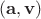 $(\mathbf a,\mathbf v)$