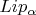 $Lip_{\alpha}$