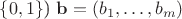 $\{0,1\}$)  ${\bf b}=(b_1,\ldots,b_m)$