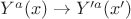 $Y^a (x) \to Y'^a (x')$