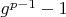 $g^{p-1}-1$