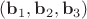 $(\mathbf b_1, \mathbf b_2, \mathbf b_3)$
